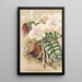 Phalaenopsis schilleriana - Charles Antoine Lemaire — framed artwork on a wall
