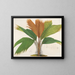 Phnicophorium of Seychelles - Charles Antoine Lemaire — framed artwork on a wall