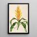 Pitcairnia andreana - Charles Antoine Lemaire — framed artwork on a wall