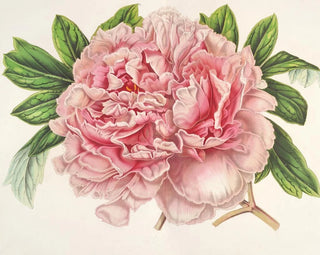 Peony of Alexander II - Charles Antoine Lemaire — artwork view