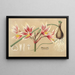 Placéa grandiflora - Charles Antoine Lemaire — framed artwork on a wall
