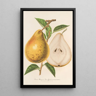 Reproduction of the painting Pear Buttered Jean Van Geert - Charles Antoine Lemaire