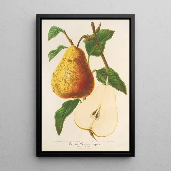 Pear Buttered Spae - Charles Antoine Lemaire — framed artwork on a wall