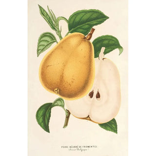 Pears with Butter from Fromentel - Charles Antoine Lemaire — artwork view