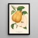 Pears with Butter from Fromentel - Charles Antoine Lemaire — framed artwork on a wall