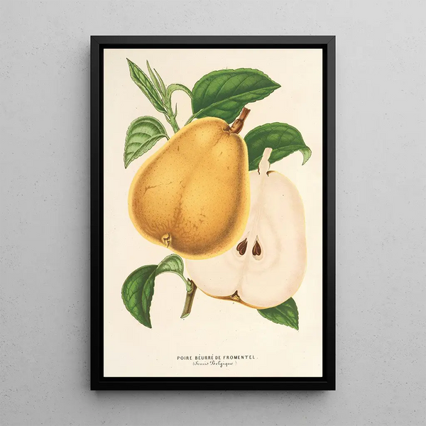 Pears with Butter from Fromentel - Charles Antoine Lemaire — framed artwork on a wall