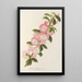 Prunus triloba - Charles Antoine Lemaire — framed artwork on a wall