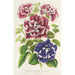 Petunia inimitabilis hybride flore plein - Charles Antoine Lemaire — artwork view