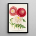 Pyrethrum - Charles Antoine Lemaire — framed artwork on a wall