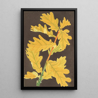Reproduction of the painting Quercus robur var. Concordia - Charles Antoine Lemaire