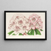 Rhododendron Bijou de Gand hybride - Charles Antoine Lemaire — framed artwork on a wall