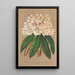 Rhododendron Grand Duc de Bade - Charles Antoine Lemaire — framed artwork on a wall