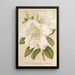 Rhododendron Sesterianum hybride - Charles Antoine Lemaire — framed artwork on a wall