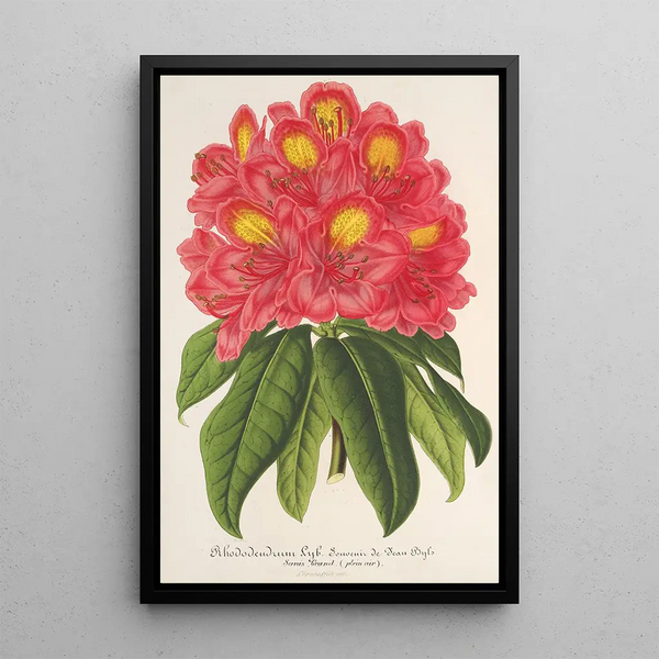Reproduction of the painting Rhododendron Souvenir de Jean Byls - Charles Antoine Lemaire