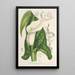 Reproduction of the painting Richardia albomaculata - Charles Antoine Lemaire