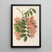 Reproduction of the painting Robinia pseudacacia var. Decaisneana - Charles Antoine Lemaire