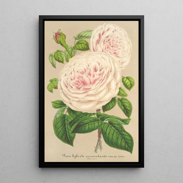Rose sur des Anges - Charles Antoine Lemaire — framed artwork on a wall