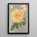 Rose Thé Jaune d'Or - Charles Antoine Lemaire — framed artwork on a wall