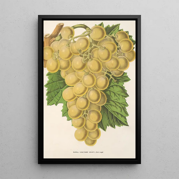 Reproduction of the painting Raisin Royal Vineyard - Charles Antoine Lemaire