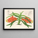 Saccolabium curvifolium - Charles Antoine Lemaire — framed artwork on a wall