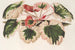 Saxifraga fortunei Hort. angl. var. tricolor - Charles Antoine Lemaire — artwork view
