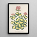 Sedum Sieboldii - Charles Antoine Lemaire — framed artwork on a wall