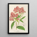 Reproduction of the painting Spiraea Nobleana - Charles Antoine Lemaire