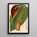 Reproduction of the painting Steudnera colocasifolia - Charles Antoine Lemaire