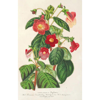 Reproduction of the painting Tydaea - Charles Antoine Lemaire