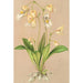 Utricularia montana - Charles Antoine Lemaire — artwork view