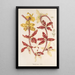 Vanda Lowii Lindl - Charles Antoine Lemaire — framed artwork on a wall