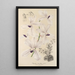 Vanda coerulea - Charles Antoine Lemaire — framed artwork on a wall