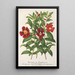 Varieties of Diplacus - Charles Antoine Lemaire — framed artwork on a wall