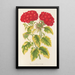 Reproduction of the painting Verveine panachée known as populaire - Charles Antoine Lemaire