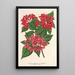 Reproduction of the painting Weigelia Middendorffiana var purpurata - Charles Antoine Lemaire