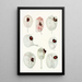 Reproduction of the painting Les dinoflagellés libres non cuirassés pl 12 - Charles Atwood Kofoid