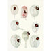 Reproduction of the painting Les dinoflagellés libres non cuirassés pl 12 - Charles Atwood Kofoid