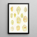 Les dinoflagellés libres non cuirassés pl 1 - Charles Atwood Kofoid — framed artwork on a wall
