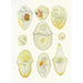 Reproduction of the painting Les dinoflagellés libres non cuirassés pl 3 - Charles Atwood Kofoid
