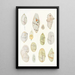 Reproduction of the painting Les dinoflagellés libres non cuirassés pl 7 - Charles Atwood Kofoid
