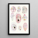 Les dinoflagellés libres non cuirassés pl 8 - Charles Atwood Kofoid — framed artwork on a wall