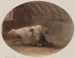 The Dead - Charles Billoin — artwork view