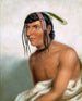 Jackopa the Sixth - Charles Bird King — artwork view