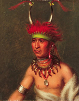 Monchousia White Plume Kansa - Charles Bird King — artwork view