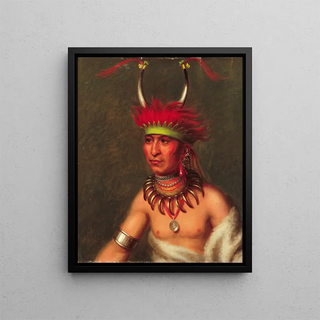 Monchousia White Plume Kansa - Charles Bird King — framed artwork on a wall