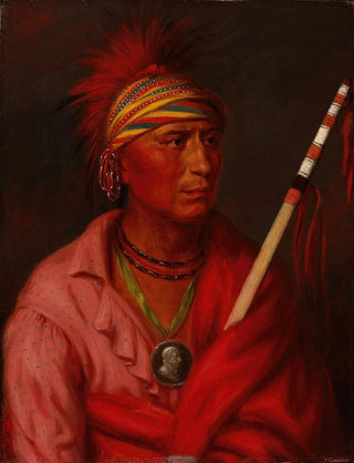 No Heart Nancheningga - Charles Bird King — artwork view