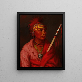 No Heart Nancheningga - Charles Bird King — framed artwork on a wall