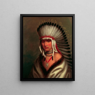 Petalesharro, generous chief Pawnee - Charles Bird King — framed artwork on a wall