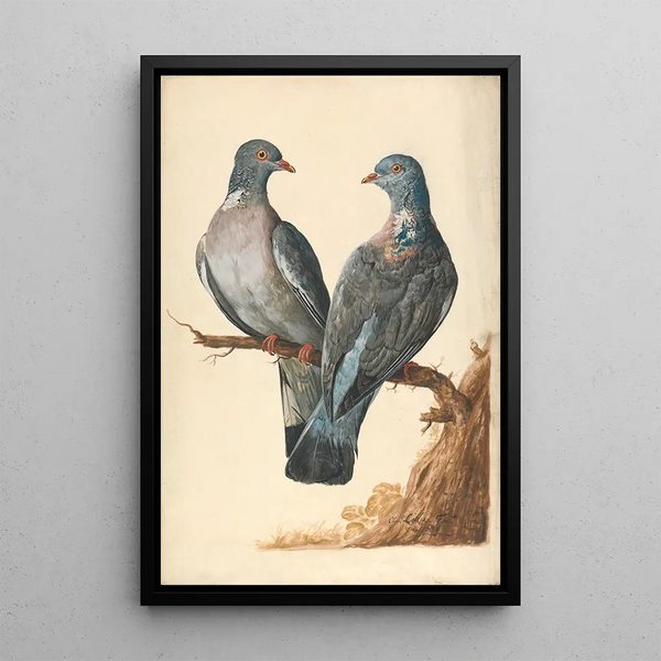 Reproduction of the painting Two doves - Charles Collins