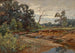 Wood of Indiana - Charles Conner — artwork view